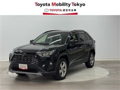 RAV4 G