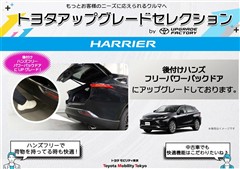 ハリアー GアップグレードS