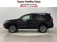 ランクルプラド TZ-G