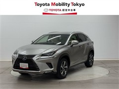 NX300h Iパッケージ