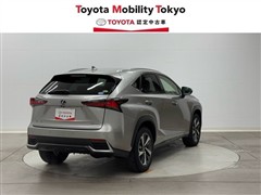 NX300h Iパッケージ