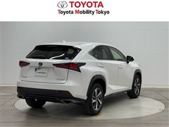 NX300 Iパッケージ