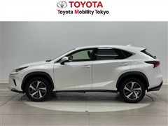 NX300 Iパッケージ