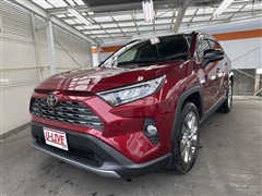 RAV4 G Zパッケージ