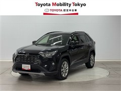ＲＡＶ４