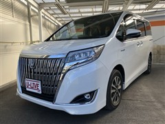 エスクァイアHVGiプレミアムパック