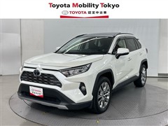 RAV4 G Zパッケージ