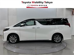 アルファードSタイプゴールド2