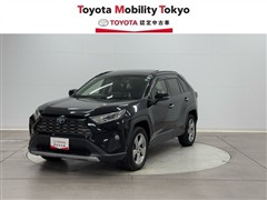 RAV4 HV G