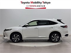 ハリアープログレスメタル&レザーP
