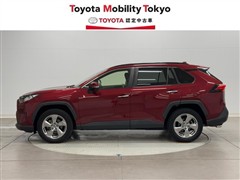 RAV4 G