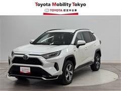 RAV4 PHV G