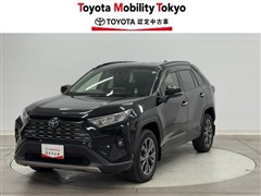 RAV4 Gアップグレード