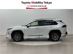 RAV4 HV G