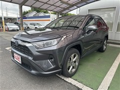 RAV4 HV X