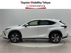 NX300h Iパッケージ