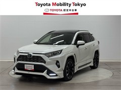 ＲＡＶ４