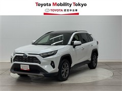 RAV4 HV G