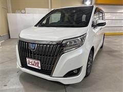 エスクァイアHVGiプレミアムBLテー