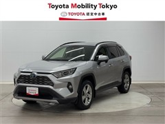RAV4 HV G