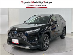 RAV4 HV G
