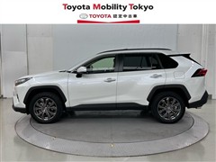RAV4 HV G