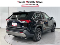 RAV4 HV G