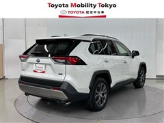 RAV4 HV G