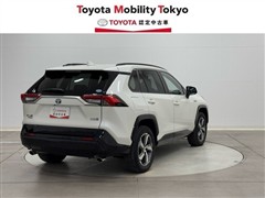 RAV4 PHV G