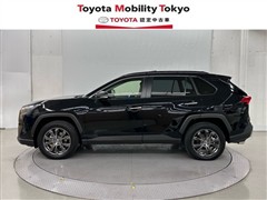 RAV4 HV G