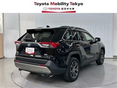 RAV4 HV G