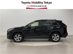 RAV4 G