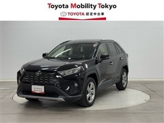 トヨタRAV4 Gの中古車