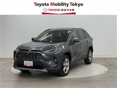 RAV4 HV G