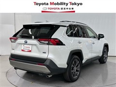 RAV4 HV G