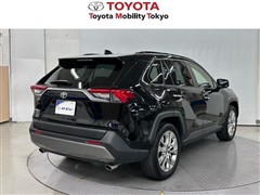 RAV4 G Zパッケージ