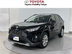 ＲＡＶ４