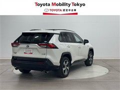 RAV4 PHV G