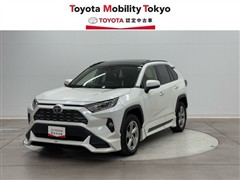 ＲＡＶ４