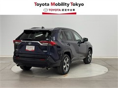 RAV4 PHV G