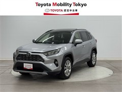 RAV4 G Zパッケージ