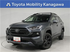 RAV4アドベンチャーオフロードP