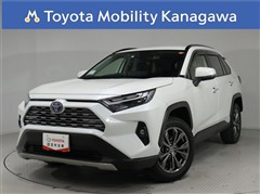 ＲＡＶ４
