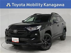 RAV4 オフロードパッケージ2