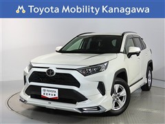 RAV4 2.0X