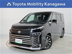 ヴォクシー 2.0S-Z 7ニンノリ