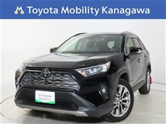 RAV4 2.0G Zパッケージ