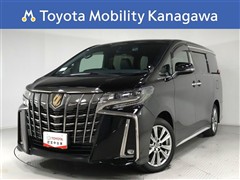 アルファード Sタイプゴールド2