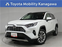 ＲＡＶ４