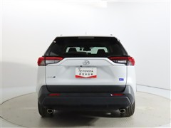 RAV4 2.0X 4WD